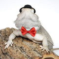 Bearded Dragon Clothes Costume Adjustable Hat and Bowtie Handmade Small Animals St. Patrick's Day Decorations Clothes fo