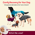 BellyGuard Dog Surgery Recovery Suit, Male Female After Spay Neuter Onesie