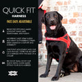 EzyDog Quick Fit Dog Harness, Soft Neoprene Padding - Medium, Black