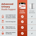 NATURE TARGET Dog UTI Treatment, Cranberry Supplement for Dogs 120 Chews