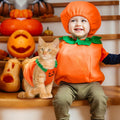 PETCARE Funny Pumpkin Dog Halloween Costume Pet Dog Cat Thick Plush Pumpkin Decoration Shirt Clothes for Small Medium Do