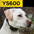 Dogtra YS600 No Bark Collar for Large Dogs 35 lbs and Up, Rechargeable Waterproof Bark Control Collar, 10 Stimulation Le