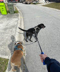 Mycicy Double Dog Leash Coupler, Heavy Duty Extension Rope for Two Dogs, No Tangle 1/2" Thick Dual Dog Lead Splitter for Large Medium Dogs Over 40 lbs (Black)