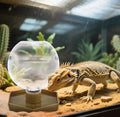 Reptile Water Feeder,Gecko Bearded Dragon Automatic Water Dispenser 12 Oz Amphibians Waterer Dish Terrarium Bowls for Li