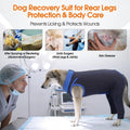 Lelepet Dog Recovery Suit for Rear Legs, Surgery Onesie, Cone Alternative