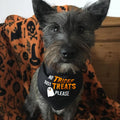 Halloween Dog Bandanas No Tricks Just Treats Costumes for Large Pet