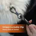 NTR 30 FT Dog Leash, Obedience Recall Training Agility Lead, with 2 Swivel Hooks, Reflective Threads and Soft Handle, Puppy Leash for Walking, Hunting, Camping for Small Medium and Large Dogs-Black