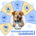 Flea and Tick Protection for Dogs-200 Natural Soft Chewable Fleas Ticks Pests Defense Supplement Supports Skin Coat Immu
