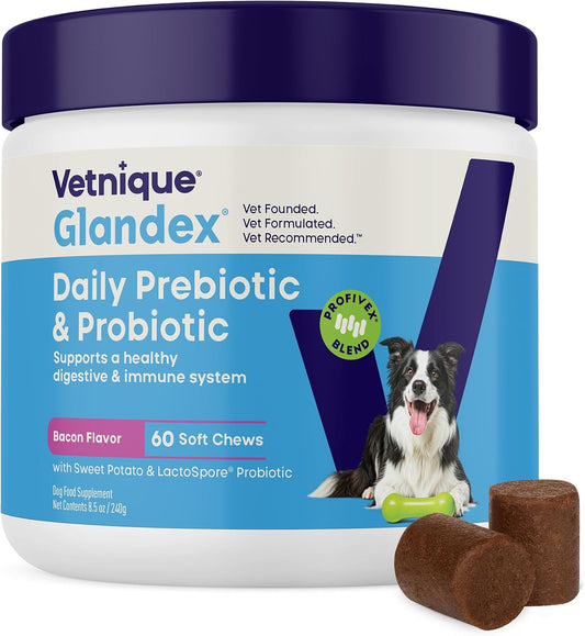 Vetnique Glandex Dog Probiotic Chews, Daily Probiotics for Dogs 5 Strains, Prebiotics & Digestive Enzymes for Gut & Immune Health, Vet Formulated for Occasional Diarrhea (60ct Chews, Probiotic Chews)