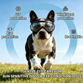 Dog Goggles Medium Breed Windproof Anti-Fog Dog Sunglasses Clear View Dog Glasses for Walks/Car Rides/Motorcycle Riding/