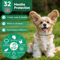 4 Pack Flea Collar for Dogs, 32 Months Flea and Tick Prevention for Dogs