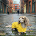 HUDSON HOUND Dachshund Raincoat - Waterproof & Windproof Dog Jacket for Long Weiner Dogs, Adjustable Fit, Harness Hole - Yellow, Small