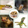 ANCKNE 200 pcs 0.5oz Crested Gecko Food and Water Feeding Cups | Reptile Feeder Bowls | for Lizard and Other Small Pet L