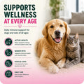 VetriScience DMG Immunity Health Easy-Dose Liquid for Dogs and Cats, 114 ml