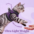 rabbitgoo Cat Harness and Leash, Step-in Escape Proof Kitten Harness Set, Soft Comfortable Cat Vest, Easy to Wear and Adjust, Reflective for Safe Outdoor Walking, Purple, Small
