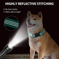 Martingale Collar for Dogs,Escape Proof No Pull, Teal, Large