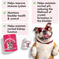 Cranberry UTI Chews for Dogs Bladder Support + D-Mannose Supports Kidney Urinary Tract and Bladder Health Natural Cranberry Wellness Supplement Immune System Booster Natural Pet Antioxidant 120 Chews