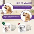 Dog Cone Collar After Surgery, Soft Cone for Dogs to Stop Licking