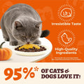 2.9 lbs Pumpkin Puree for Cats and Dogs for Digestive Health