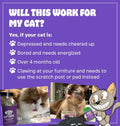 Cat Crack Catnip, Zoomie-Inducing Cat Nip Blend, North American Made & 100% Natural, Safe & Non-Addictive Catnip Treats Used to Supplement Cat Nip Toys, Spray, & Accessories (1 Cup)