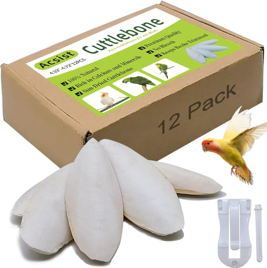 4.3"-4.7" Cuttlebone for Birds,Natural Cuttlefish Bone for Parakeets,12 Pcs
