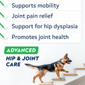 Advanced Glucosamine Hip & Joint Supplement for Senior Dogs - Green Lipped Mussel & Collagen - Hip & Joint Pain Relief - Large & Small Breed - Joint Health - Bacon - 120 Chews