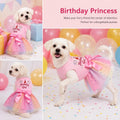 Blzedim Dog Birthday Outfit for Small Dogs Girl Sparkly Rainbow Dog Birthday Dress Tulle with Big Bowknot Puppy Clothes Pink Fireworks Little Princess Pet Dress (L)