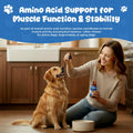 Taurine Liquid Supplement for Dogs, Heart & Muscle Function, Energy Balance