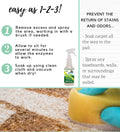 Chem-Girl - Gone for Good - Professional Odor, Stain, Urine Remover - Good for Dog & Cat Spot Cleaning, Carpets, Rug, Pet Beds, Other Household Uses - All Natural, Pet & Family Safe - 1 Quart