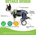 Lightweight and Adjustable Dog Wheelchair for Back Legs XXS