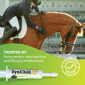 SynNutra Equine SynChill AF Horse Calming Supplement Gel, 3 Pack