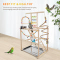 HPAWHOMEPART Bird Playground, Parrots Playstand for Small to Medium Birds, Perch Stand with 3 Ladders Playgym with Rope Perch, Swings Feeder Cups Bird Cage Accessories for Conure Cockatiel Lovebirds