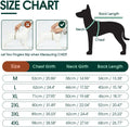 Kuoser Dog Recovery Suit with Anti Licking Rear Leg Sleeve, Green M