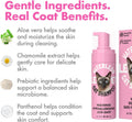 Waterless Cat Shampoo – No Rinse Dry Shampoo for Cats & Kittens, Hypoallergenic Cat Cleaning Foam, Lick-Safe Formula for
