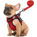 FAYOGOO Service Dog Vest for Small Dogs - Lightweight Dog Harness with 6PCS Removable Patches - Puppy Harness and Leash Set for Walking,Training