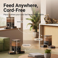 DownyPaws Automatic Cat Feeder 2 Cats, Rechargeable Timed Food Dispenser BK