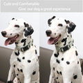 ARING PET Dinosaur Dog Collar-Cute Dog Collar for Small Dogs, Adjustable Comfortable Cotton Boy Dog Collars for Small Me