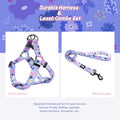 QQPETS Dog Harness Leash Set Adjustable Heavy Duty No Pull Halter Harnesses for Small Medium Large Breed Dogs Back Clip 