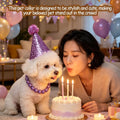 Ornaland Pearl Dog Necklace Collar for Women with Birthday Hat, 16.14 in