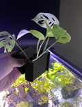 2 Pk Upgraded Aquarium Plant Holder, Hanging Aquarium Plant Holder with Clip, Suitable for Fish Tank Plant Potting, Aqua
