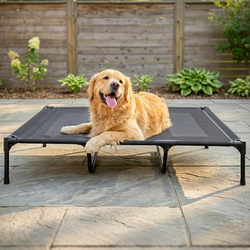 Suddus Elevated Dog Bed for Large Dogs 140lb, Breathable Cooling Raised Dog Cot with Dual Support Bars & Metal Frame, No-Slip Feet, Waterproof Pet Bed for Indoor/Outdoor, X-Large, 48 * 36 * 9in, Grey