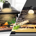 LUCKY HERP 4 Pack 100W Reptile Heat Lamp Bulb (2nd Gen), Amphibian Basking Light Bulb, Reptile Daylight Bulb for Turtle,