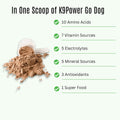 K9Power Go Dog – Hydration & Electrolyte Supplement for Dogs – Boost Stamina, Recovery, Muscle Function & Energy – Beta-Alanine, Creatine, BCAAs, Agave, Green T