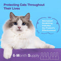 Topical Flea and Tick for Large Cats: Waterproof Topical Cat Flea and Tick – Fast-Acting & Long-Lasting at Home Control 