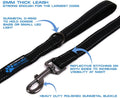 Max and Neo Reflective Nylon Dog Leash - We Donate One for Every Sold (Black, 6ft)