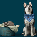 Elegant Little Tail Dog Bandana, Shark Print Pet Birthday Cotton Boy Dog Bibs Scarf, Soft Adjustable Square Kerchief for Small Large Dogs