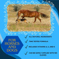 Corona Horseman's Dream Vet Cream Jar Wounds Skin Soothe Conditions, 16 oz