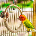 Circle Bird Swing with Bell,Bamboo Parakeet Rope Perches for Cage Ring Bird Swings Chewings Nuts Toys for Parrots Cockat