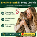 Cat Grass Treats Chews, Cat Treats for Indoor Cats 500 Ct, Hairball Control