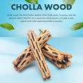 SubstrateSource Natural Cholla Wood - 3PC (1 4" Tunnel/Log + 2 6" Sticks)